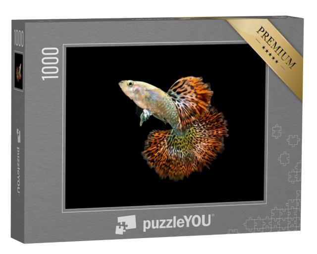 Puzzle 1000 Teile „Der Guppy Fisch“
