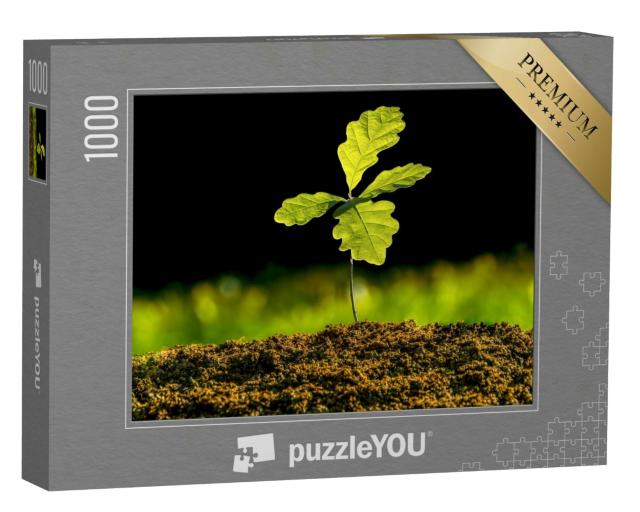 Puzzle 1000 Teile „Kleine Eichenpflanze wächst im Garten “