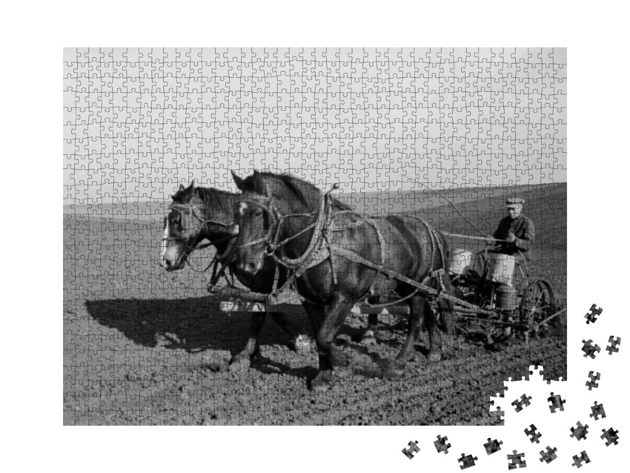 Puzzle 1000 Teile „Vergangene Zeiten: Maisanbau im Frühjahr in Jasper County, Iowa“