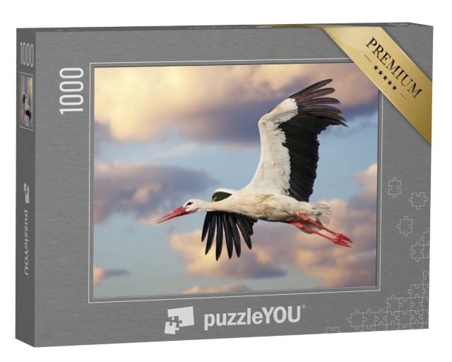 Puzzle 1000 Teile „Ein Weißstorch im Flug mit bewölktem Himmel“