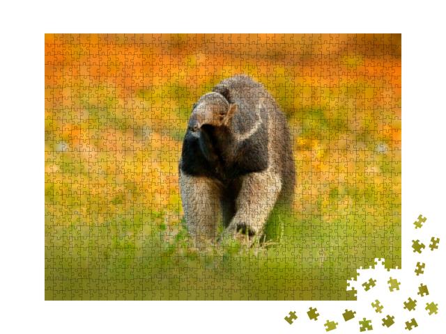 Puzzle 1000 Teile „Der Ameisenbär, ein Tier aus Brasilien“