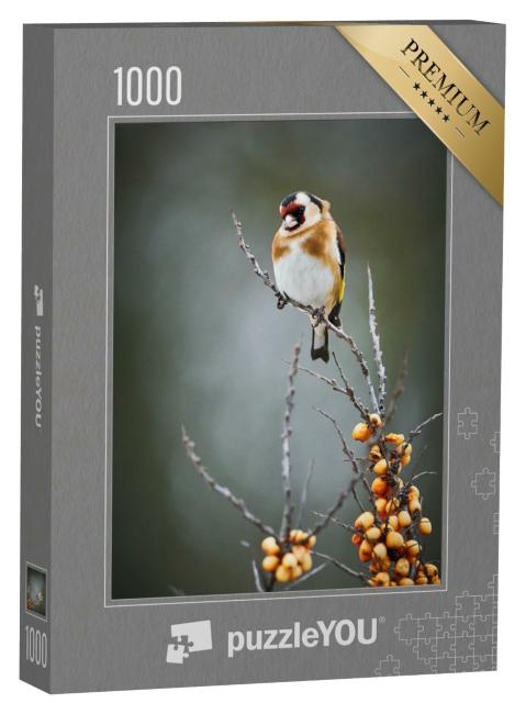 Puzzle 1000 Teile „Der Stieglitz, ein Singvogel“