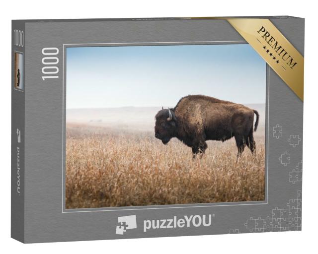 Puzzle 1000 Teile „Amerikanischer Bison, Büffel “