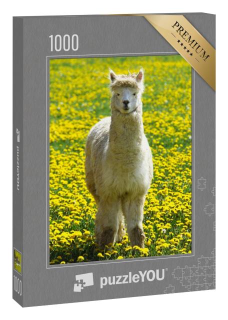 Puzzle 1000 Teile „Ein Alpaka auf einer Sommerwiese mit gelben Blumen“