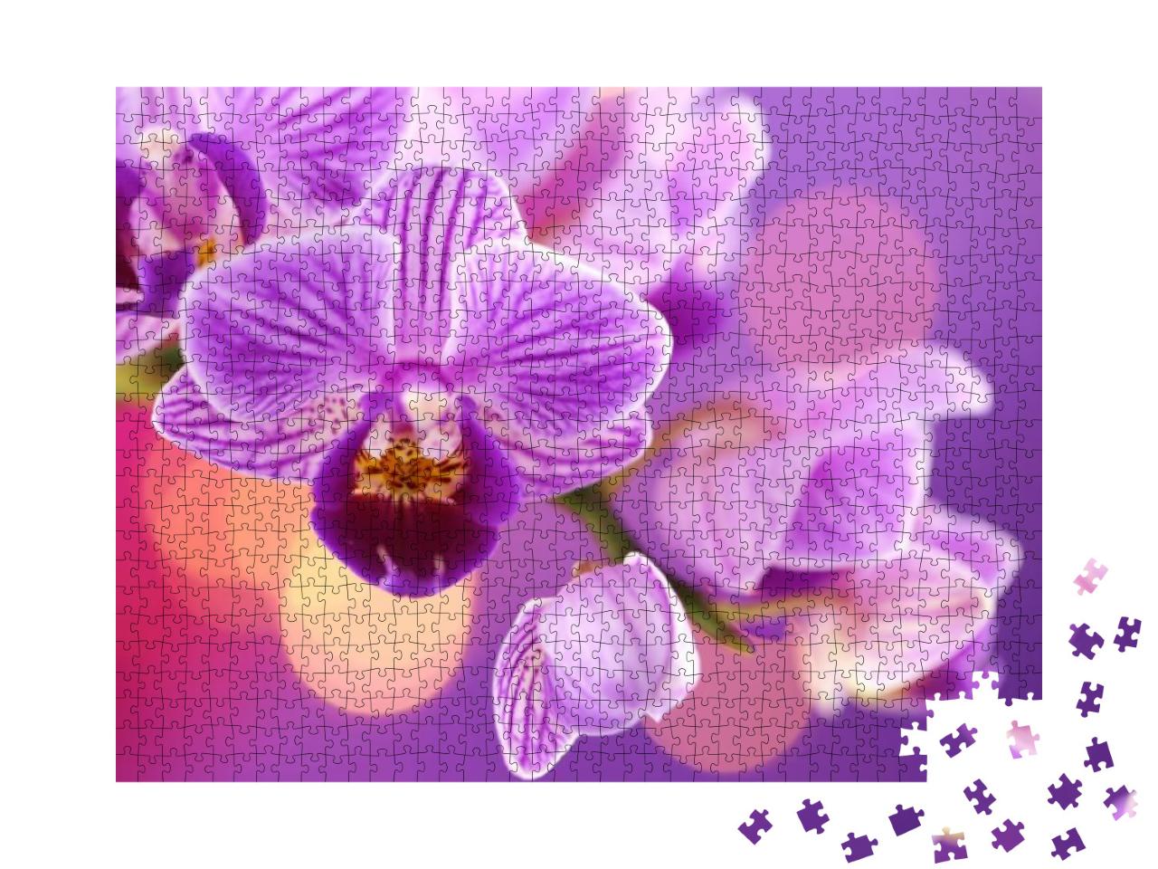 Puzzle 1000 Teile „Eine Orchidee“