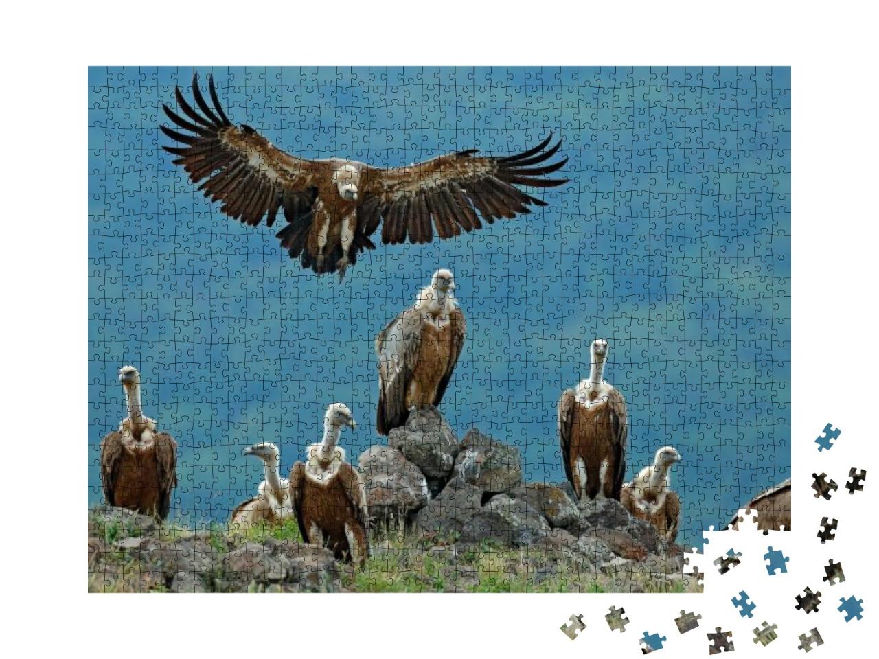 Puzzle 1000 Teile „Gruppe von Gänsegeiern in ihrem natürlichen Lebensraum“