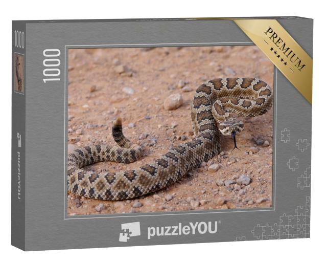 Puzzle 1000 Teile „Gefährliche Klapperschlange, zusammengerollt und zum Angriff bereit“