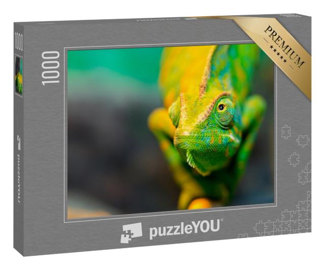 Puzzle 1000 Teile „Chamäleon, Nahaufnahme“