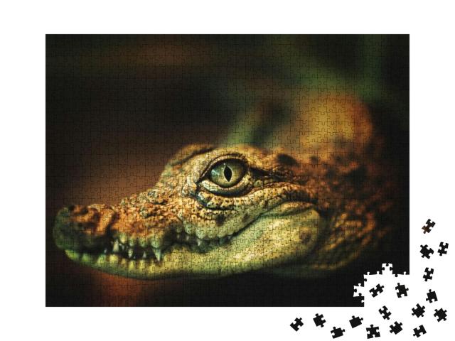 Puzzle 1000 Teile „Krokodil zeigt seine Zähne “