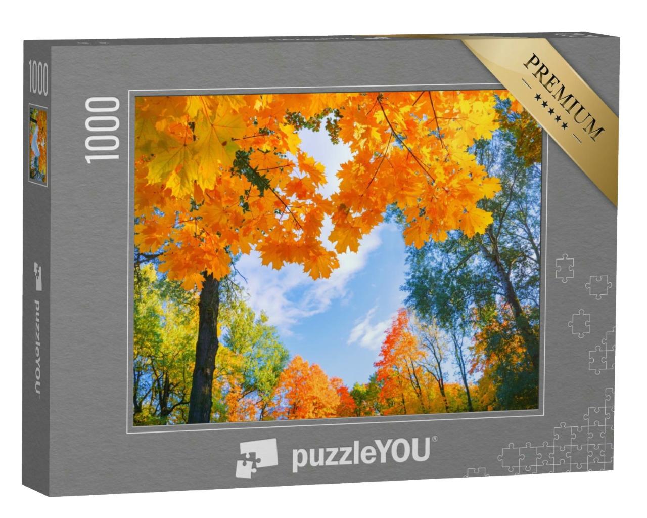 Puzzle 1000 Teile „Goldenes Laub im Herbst“