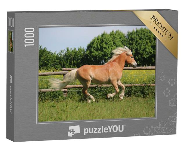 Puzzle 1000 Teile „Wunderschönes Haflingerpferd auf der Koppel“