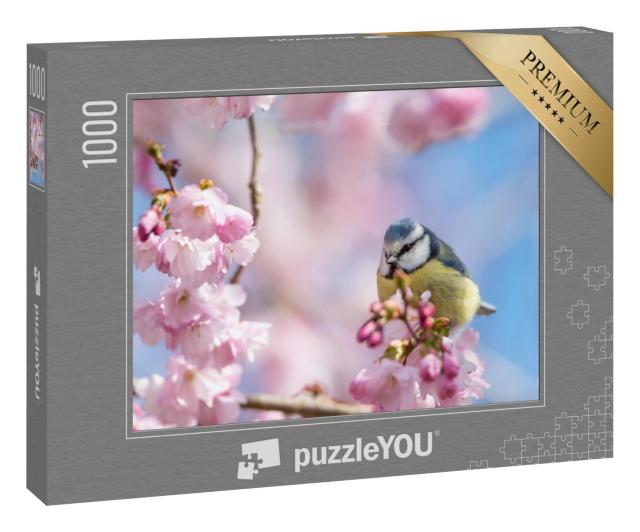 Puzzle 1000 Teile „Eine Blaumeise sitzt auf einem schönen Zweig mit Kirschblüten“