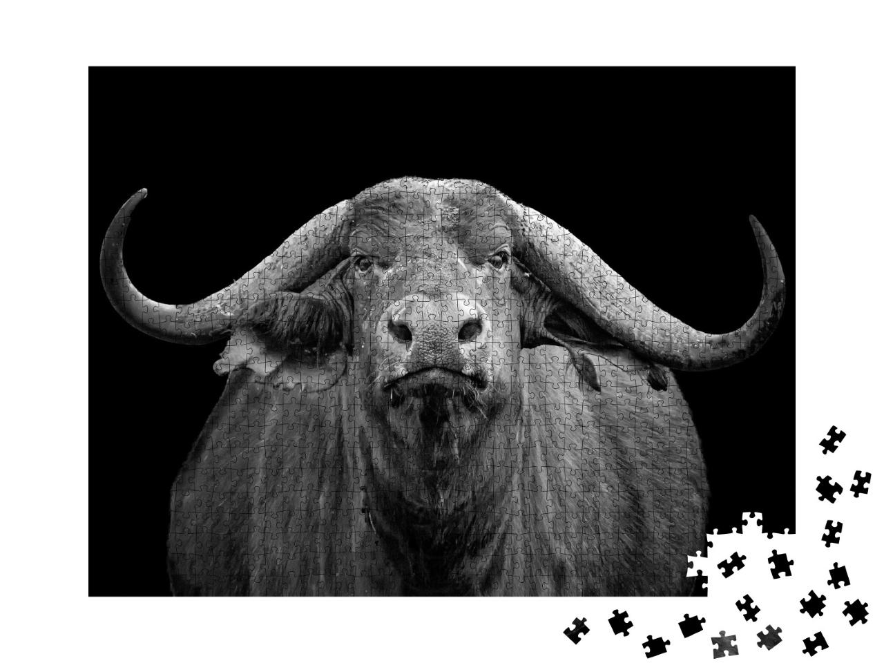 Puzzle 1000 Teile „Afrikanischer Büffel, Tsavo Ost Nationalpark“