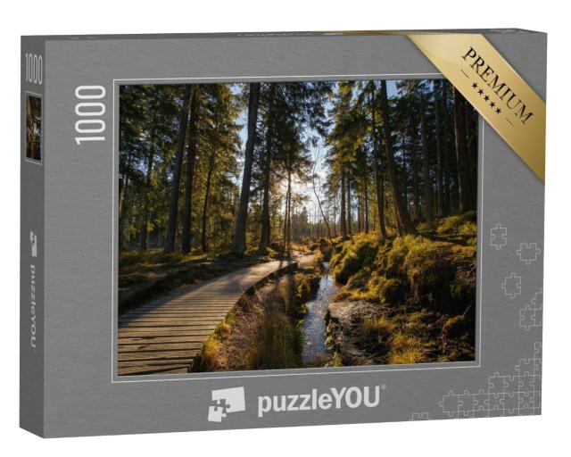 Puzzle 1000 Teile „Herbstwald am Brocken im Harz“