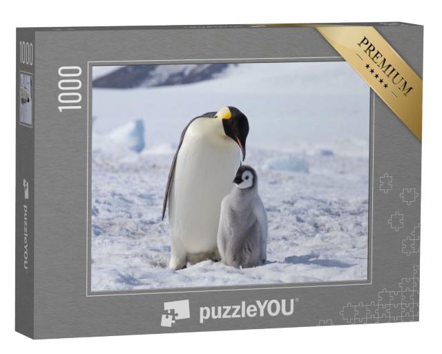 Puzzle 1000 Teile „Ein Kaiserpinguin mit seinem Küken, Antarktis“