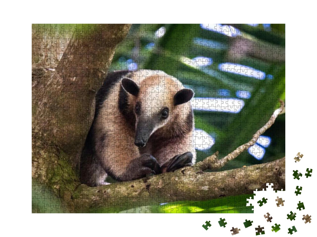 Puzzle 1000 Teile „Der Baumameisenbär in Costa Rica“