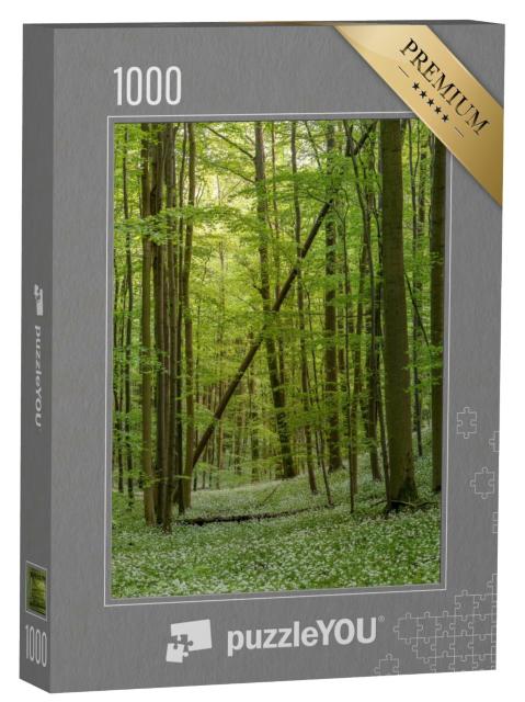 Puzzle 1000 Teile „Wilder blühender Bärlauch, Nationalpark Hainich, Thüringen“