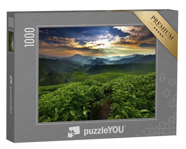 Puzzle 1000 Teile „Die Sonne scheint über dem Teegarten“