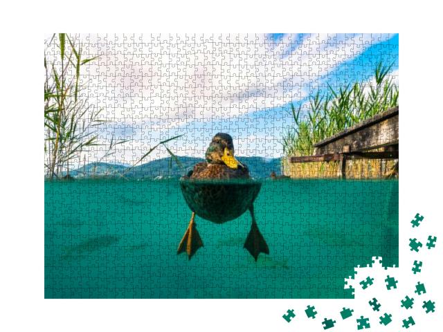 Puzzle 1000 Teile „Unterwasserbild einer Ente, Österreich“