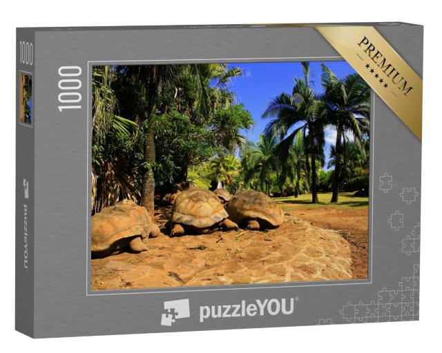 Puzzle 1000 Teile „Drei große Riesenschildkröten auf Mauritius“