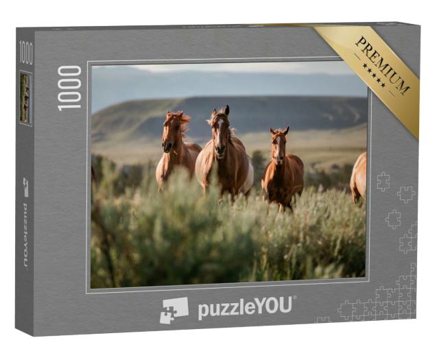 Puzzle 1000 Teile „Wunderschöne amerikanische Quarter Horse Ranch Pferde, Wyoming“