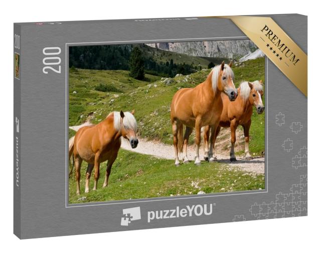 Puzzle 200 Teile „Drei Haflingerpferde auf einer Alm in Südtirol, Italien“