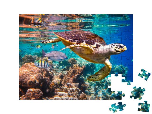 Puzzle 100 Teile „Echte Karettschildkröte im Korallenriff“