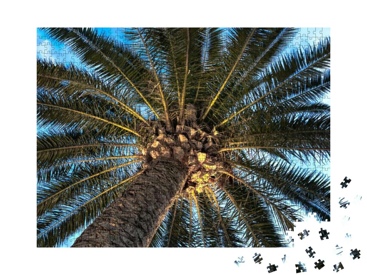 Puzzle 1000 Teile „Ansicht von unten: Eine Palme“