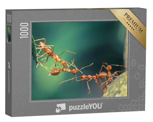 Puzzle 1000 Teile „Einheitliche Ameisenbrücke“