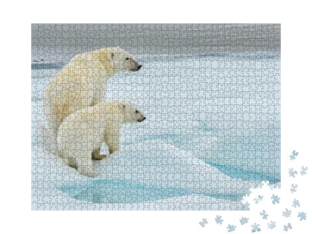 Puzzle 1000 Teile „Eisbärenmutter und -junges auf einer Eisscholle im arktischen Ozean, Norwegen“
