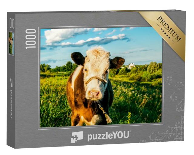 Puzzle 1000 Teile „Kleines niedliches Kälbchen auf der Weide“