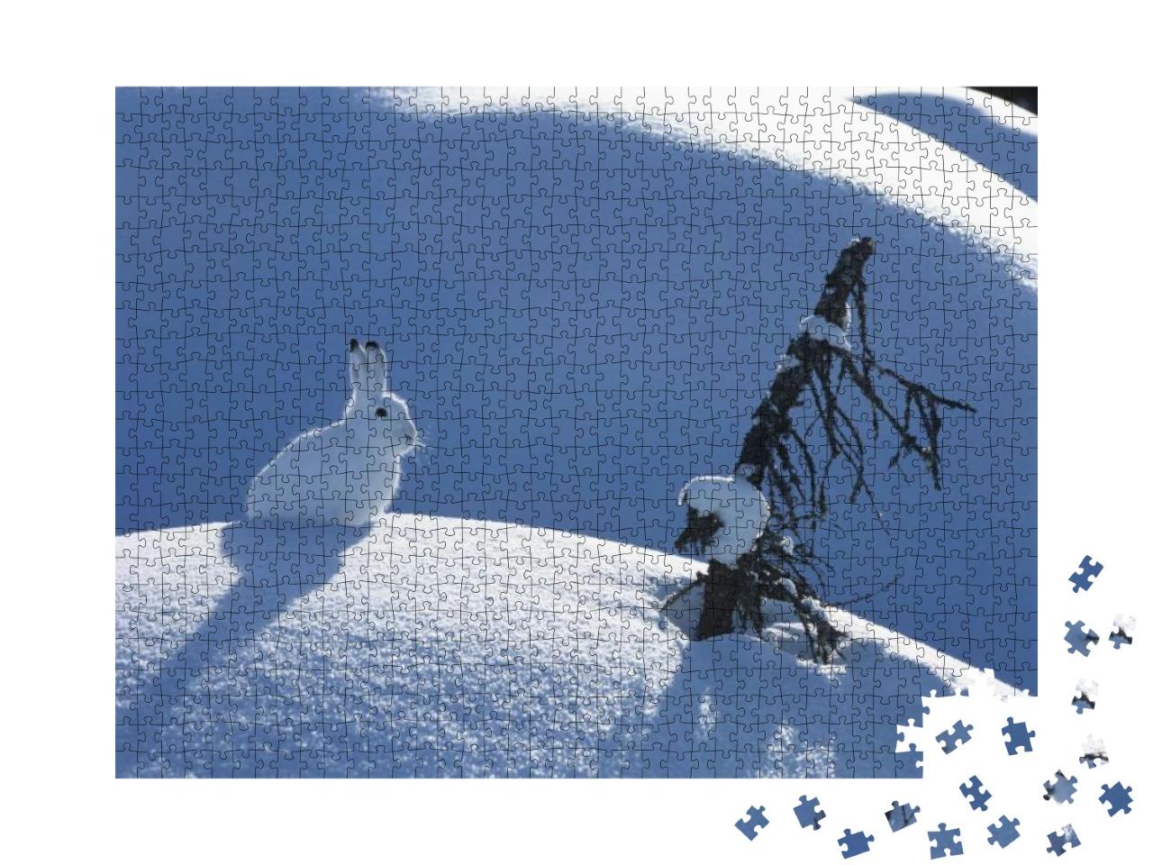 Puzzle 1000 Teile „Flauschiger Polarhase an einem sonnigen Tag im Winter“