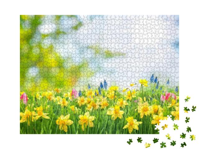 Puzzle 1000 Teile „Wiese voll blühender Narzissen in der Frühlingssonne“
