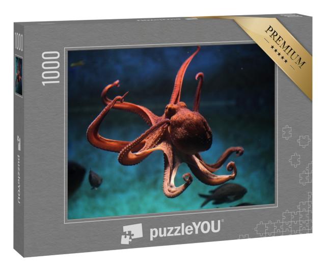 Puzzle 1000 Teile „Gewöhnlicher Oktopus“