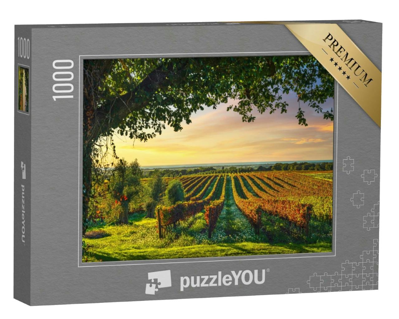 Puzzle 1000 Teile „Bolgheri Weinberg bei Sonnenuntergang, Toskana, Italien“