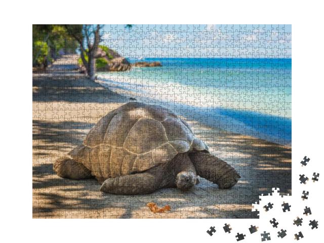 Puzzle 1000 Teile „Seychellen-Riesenschildkröte“
