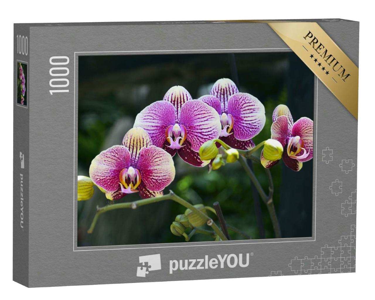 Puzzle 1000 Teile „Orchideenblüte im tropischen Garten“