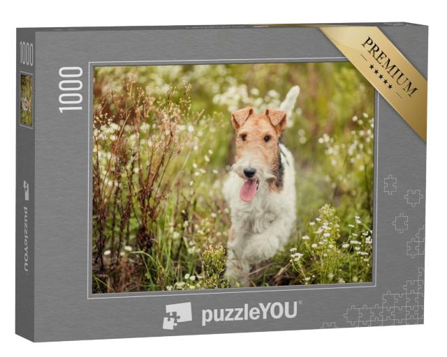 Puzzle 1000 Teile „Foxterrier in der Natur“