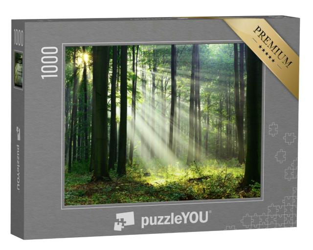 Puzzle 1000 Teile „Ein Morgen im Wald mit den ersten Sonnenstrahlen“