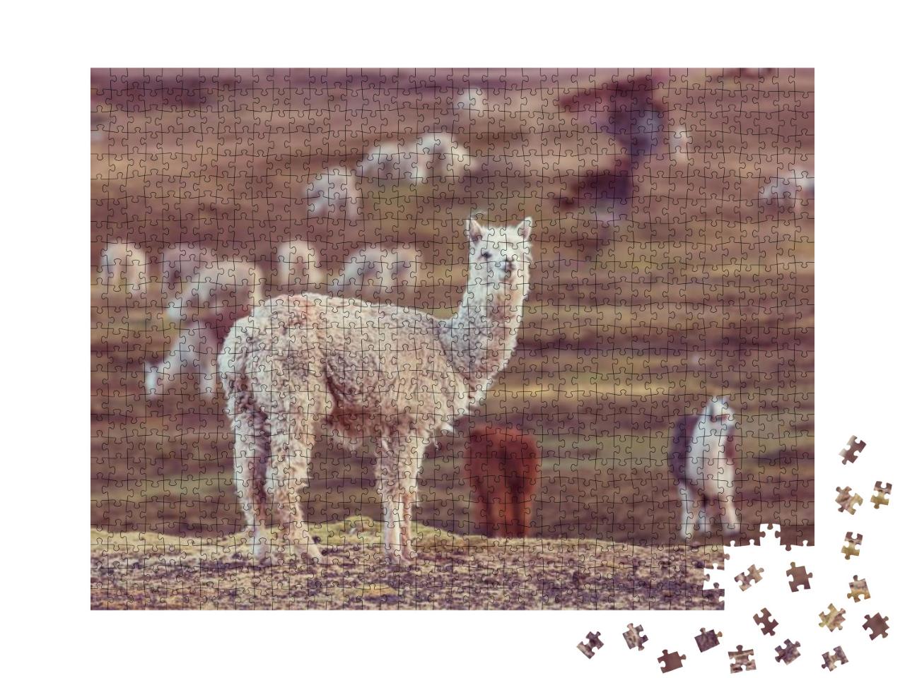 Puzzle 1000 Teile „Ein Peruanisches Alpaka, Anden“