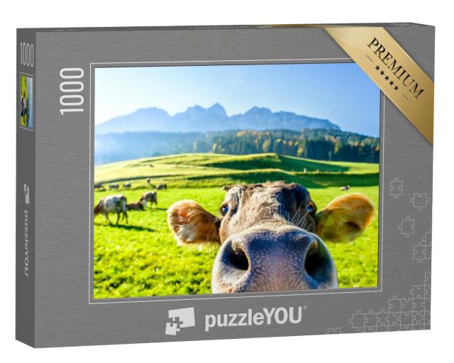 Puzzle 1000 Teile „Neugierige Kuh“