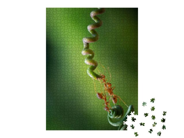 Puzzle 1000 Teile „Ameisen beschaffen Nahrung im Team“