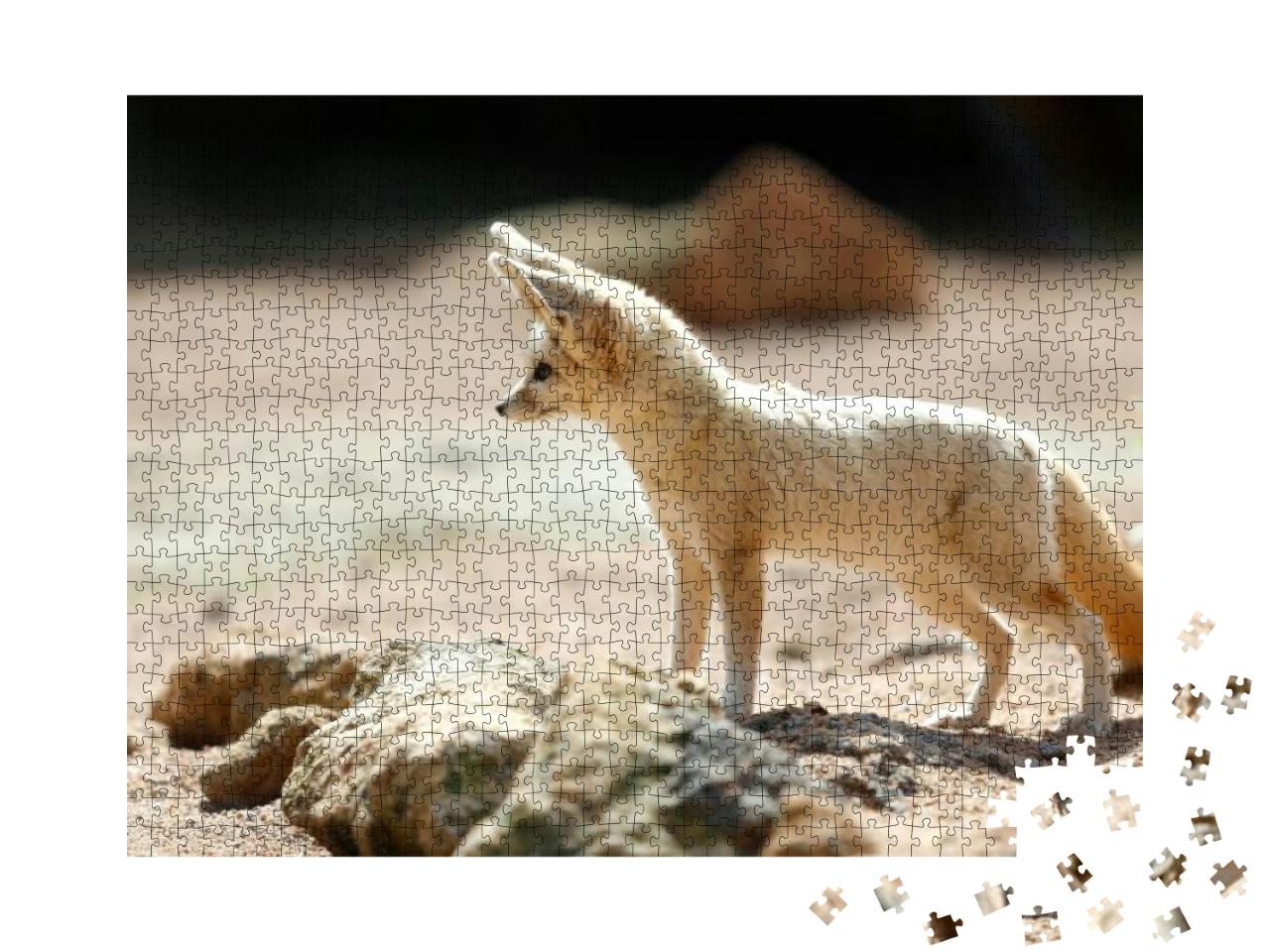 Puzzle 1000 Teile „Der Fennek-Fuchs, auch bekannt als Wüstenfuchs“