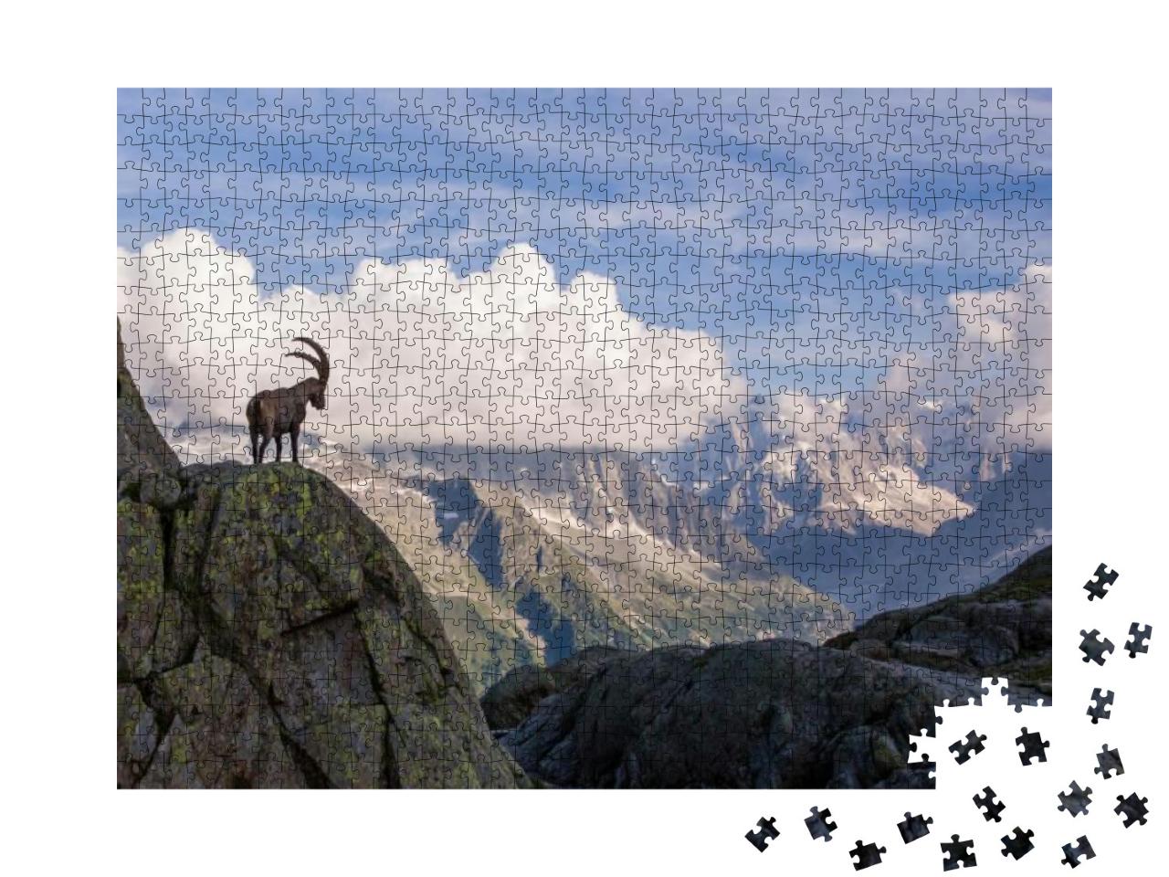 Puzzle 1000 Teile „Steinböcke vor der Mont-Blanc-Bergkette“