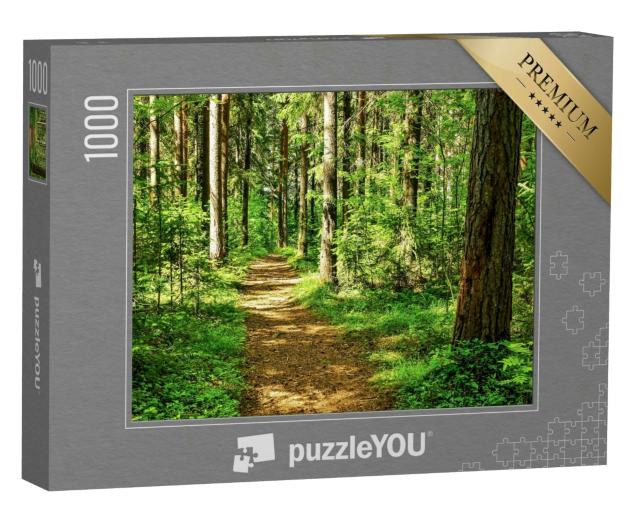 Puzzle 1000 Teile „Landschaftsszene im Wald: ein idyllischer Waldweg“