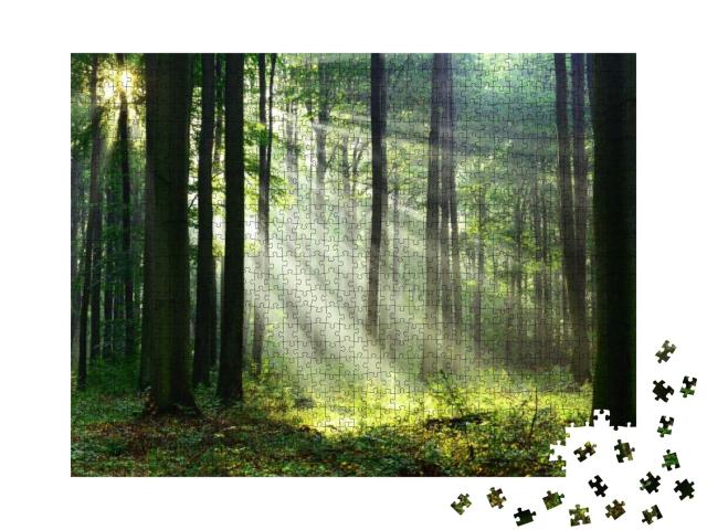 Puzzle 1000 Teile „Ein Morgen im Wald mit den ersten Sonnenstrahlen“
