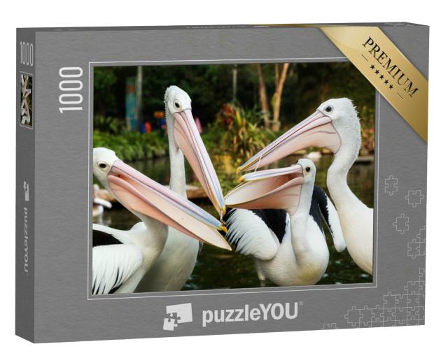 Puzzle 1000 Teile „Der Weiße Pelikan“