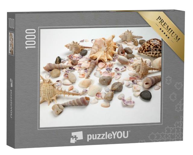 Puzzle 1000 Teile „Triton Muscheln“