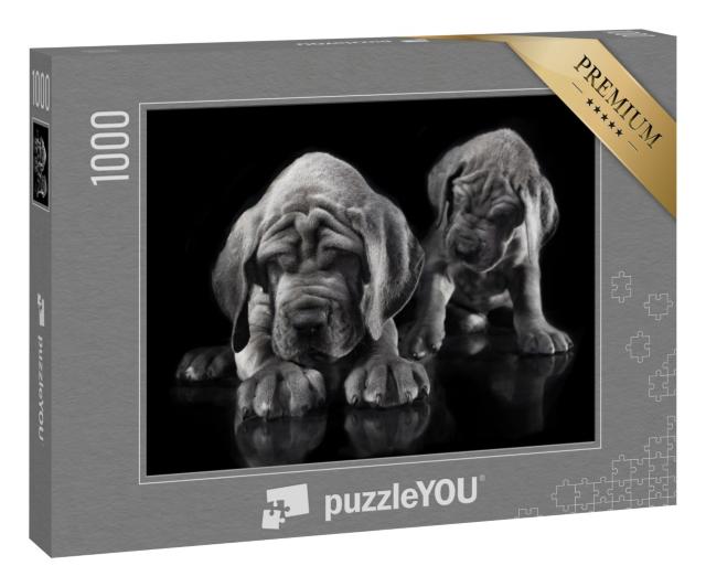 Puzzle 1000 Teile „Deutsche Dogge: Welpe weckt die andere“