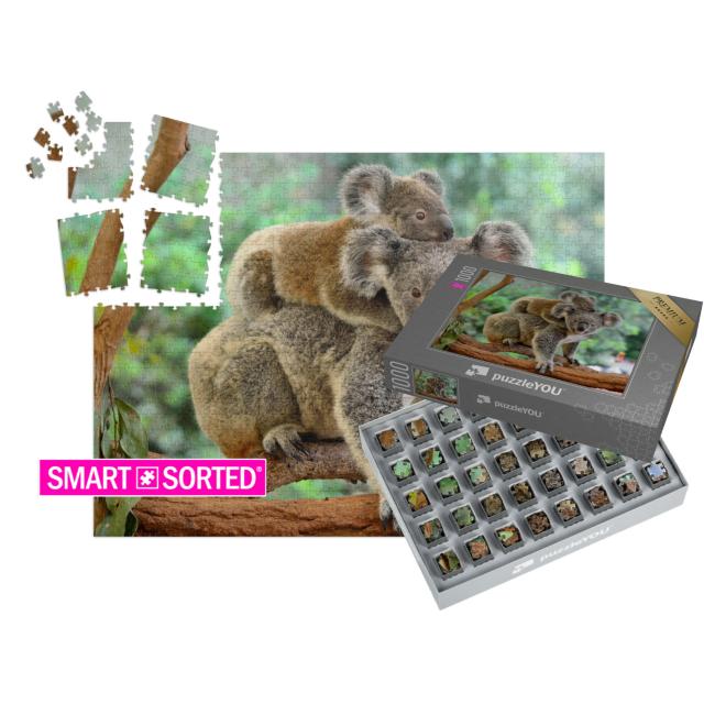 SMART SORTED® | Puzzle 1000 Teile „Koala-Mutter mit Baby auf dem Rücken auf einem Eukalyptusbaum“